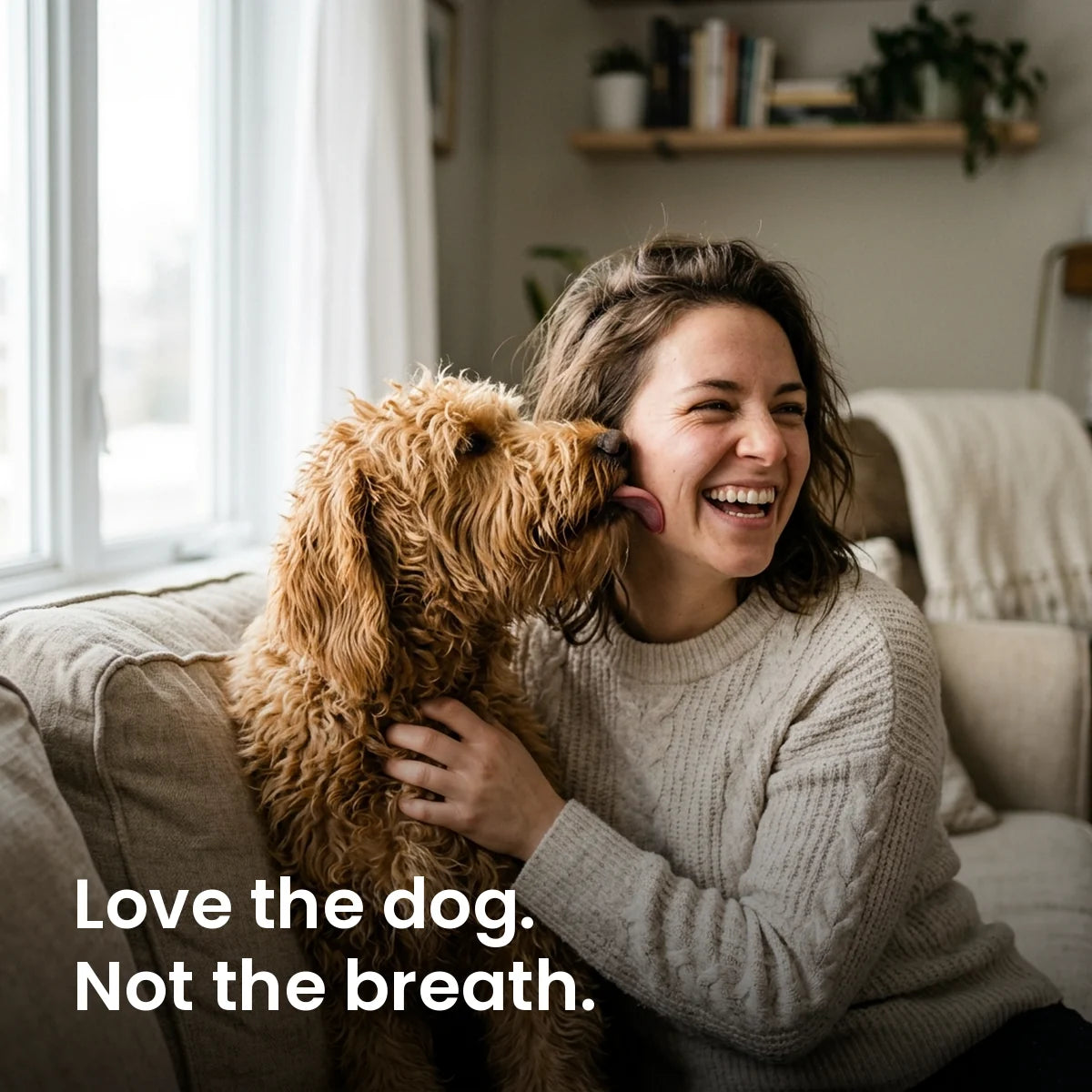 Dog licking a laughing owner on the couch. Love the dog, not the breath.