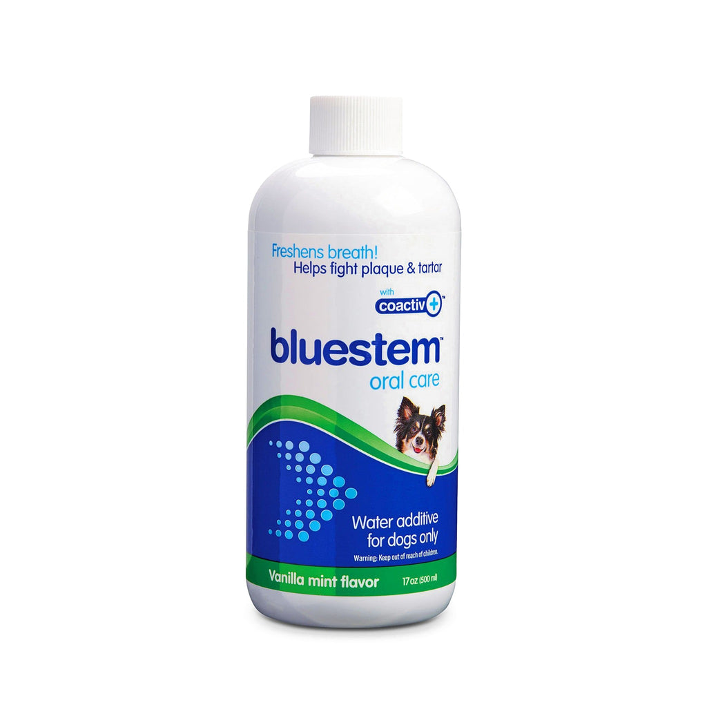 Bluestem vanilla mint water additive for dogs, 17 fl oz bottle on white