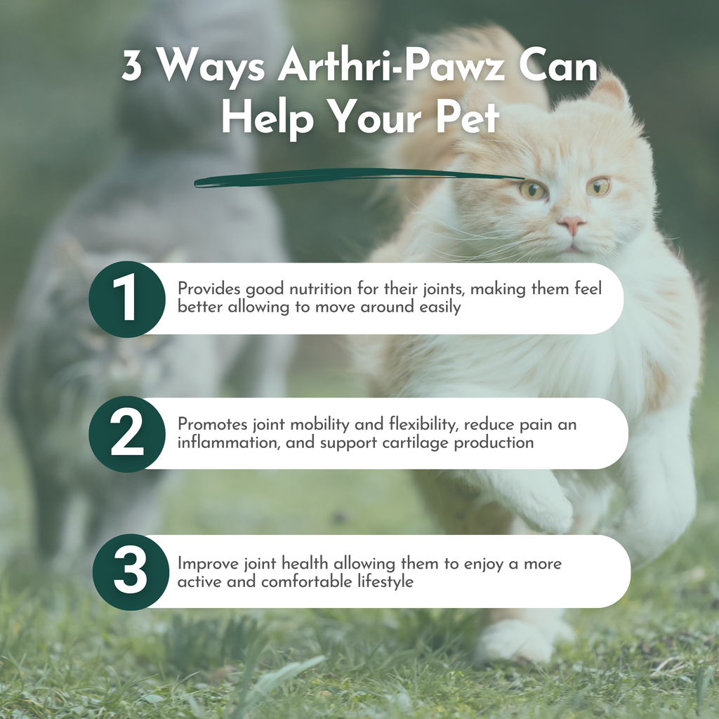 Arthri-Pawz Glucosamine Joint Supplement for Dogs and Cats
