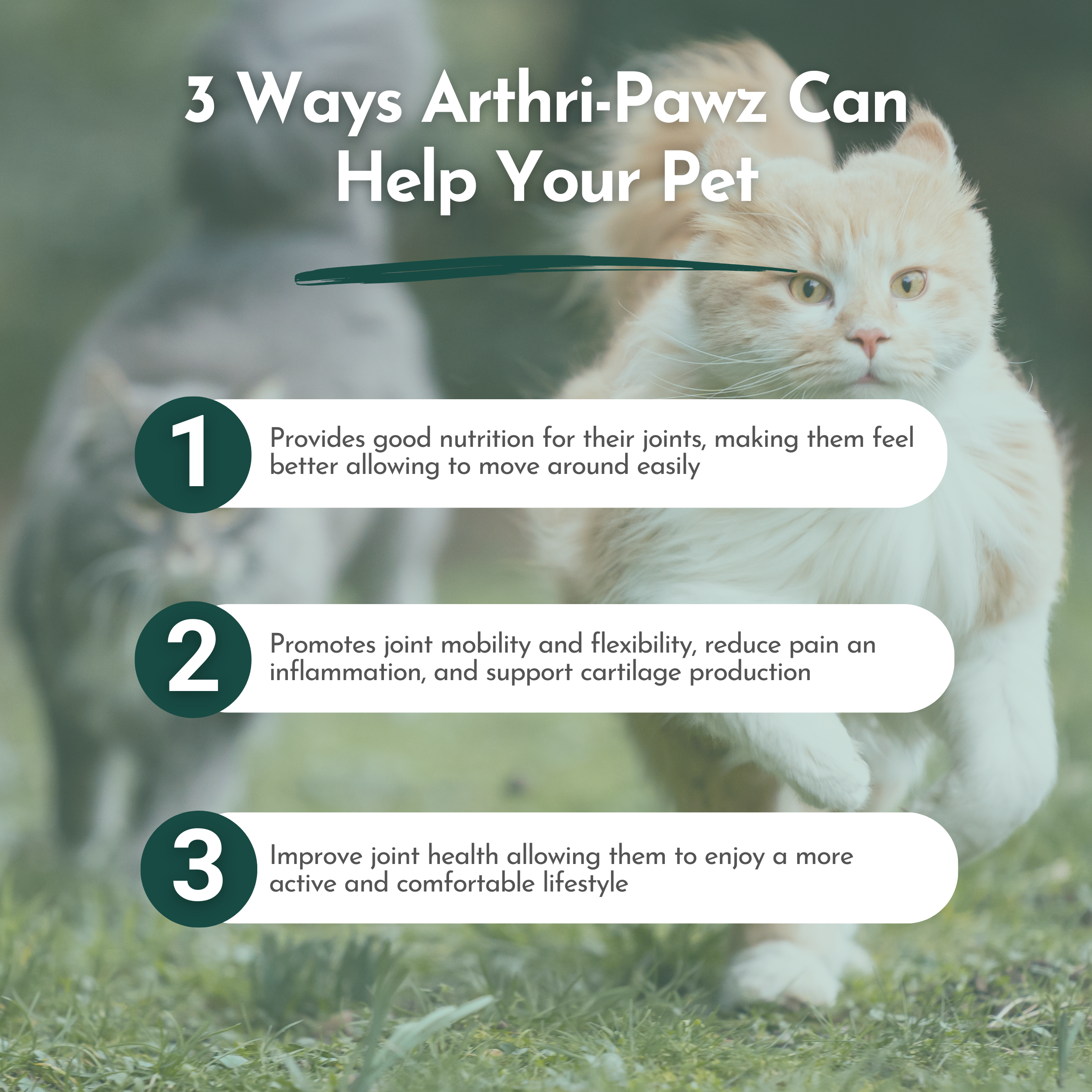 Arthri-Pawz Glucosamine Joint Supplement for Dogs and Cats