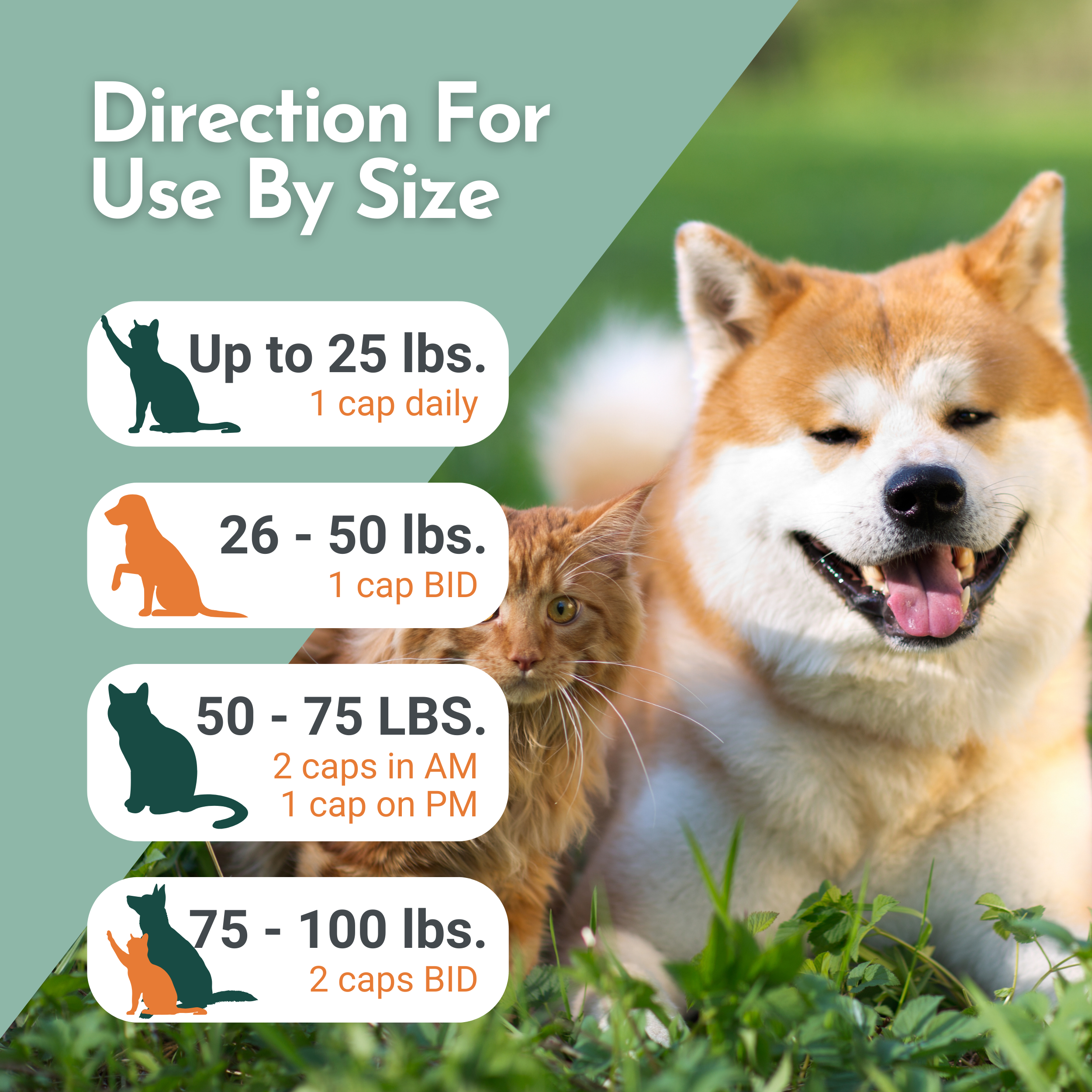 Arthri-Pawz Glucosamine Joint Supplement for Dogs and Cats