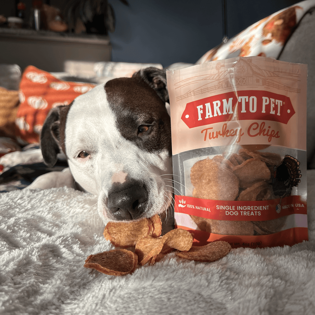 Turkey Chips for Dogs | Single-Ingredient, Hormone-Free Treats