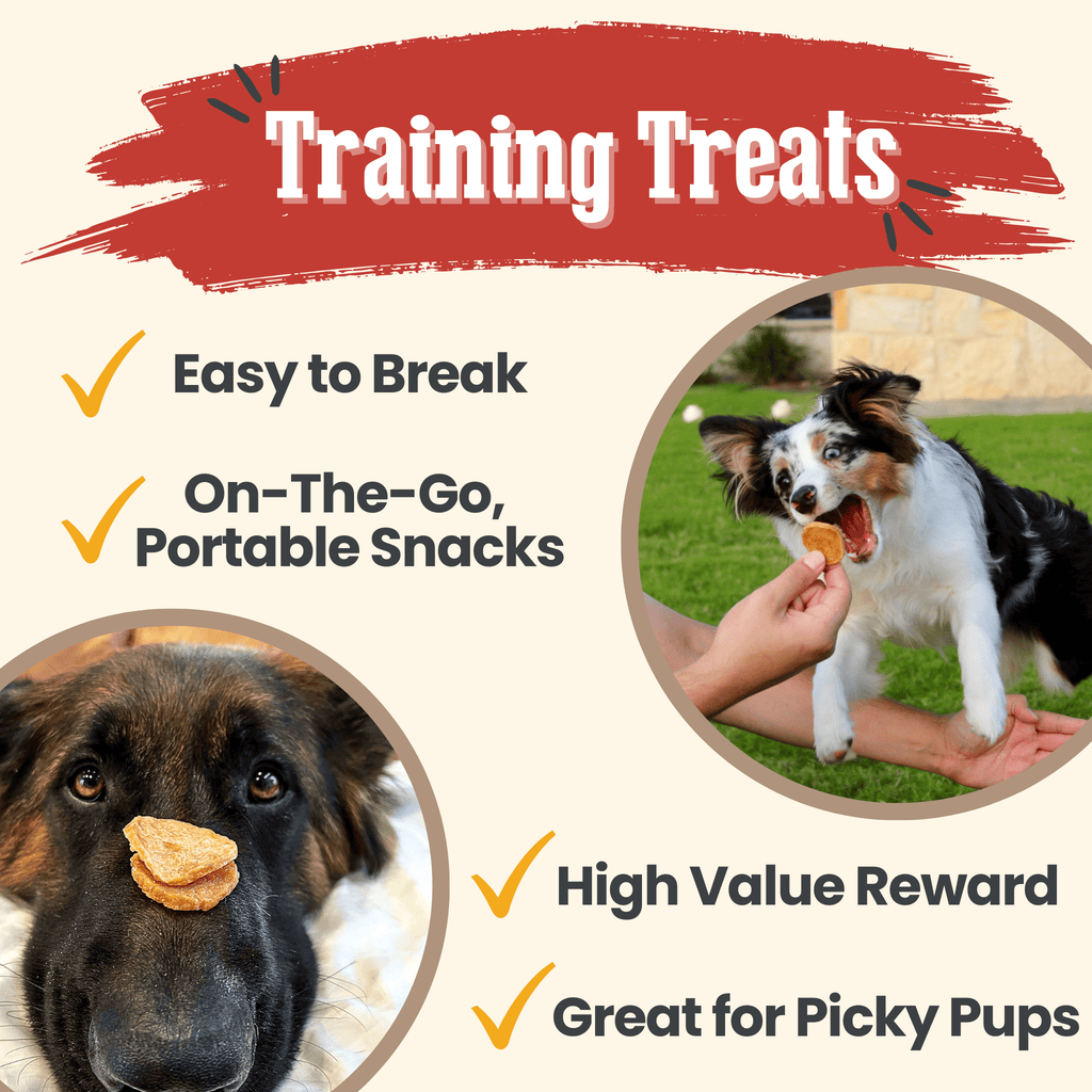 Chicken Chips for Dogs | Single-Ingredient, Made in USA
