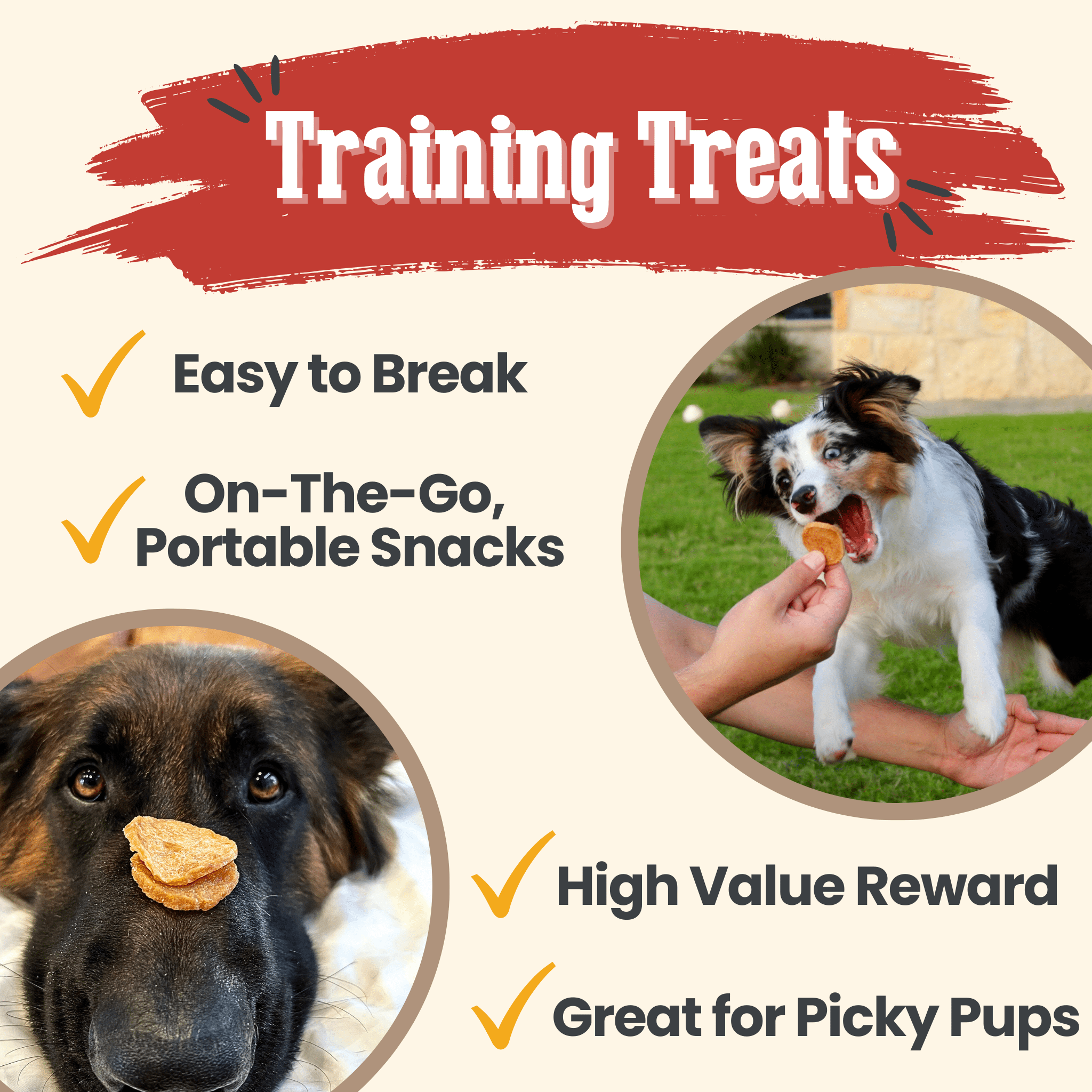 Chicken Chips for Dogs | Single-Ingredient, Made in USA