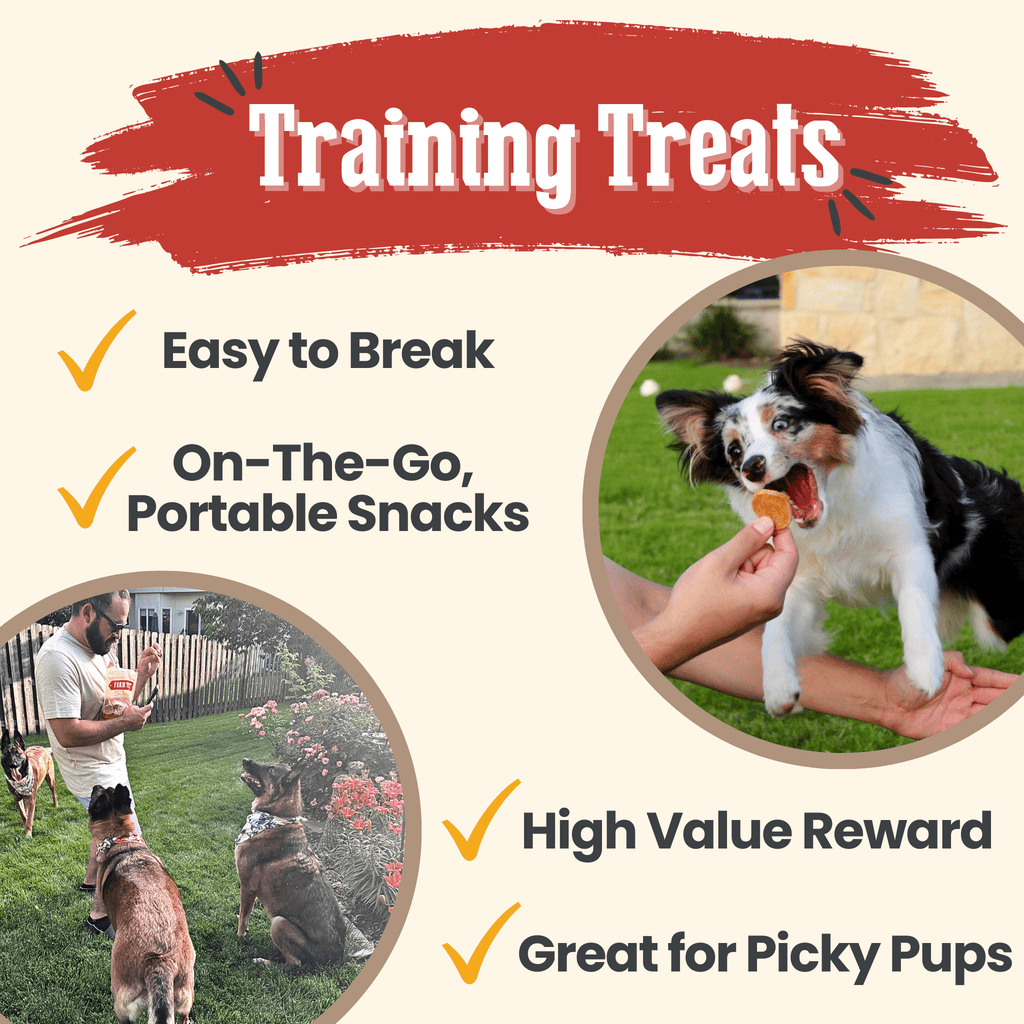 Chicken Chips for Dogs | Single-Ingredient, Made in USA