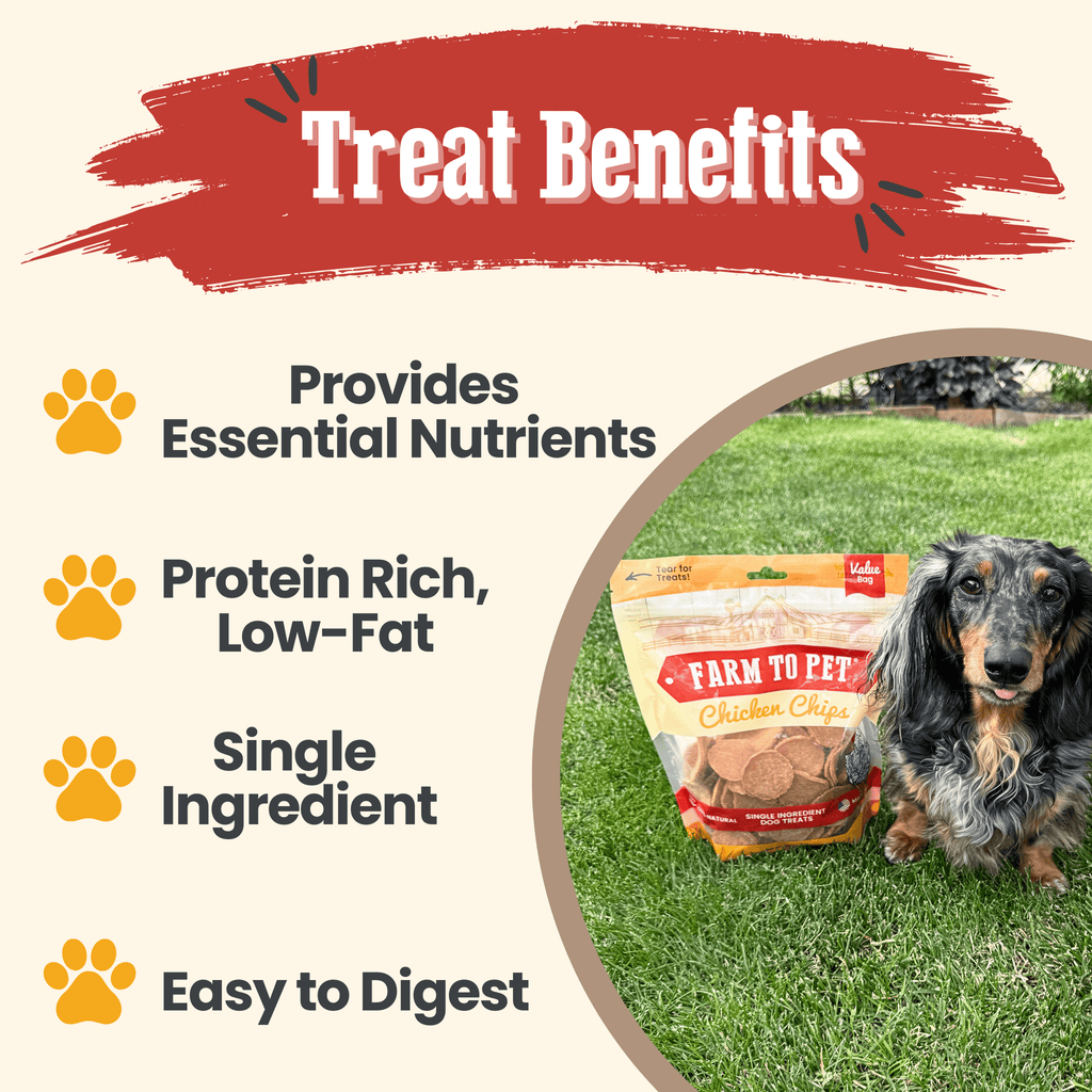 Chicken Chips for Dogs | Single-Ingredient, Made in USA