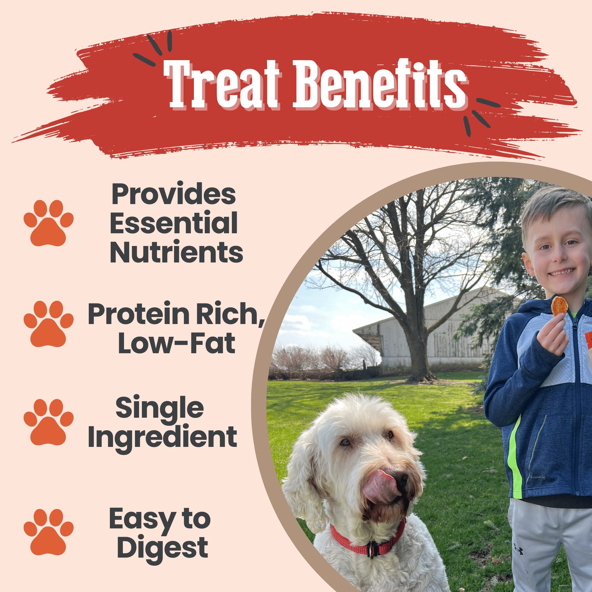 Turkey Chips for Dogs | Single-Ingredient, Hormone-Free Treats