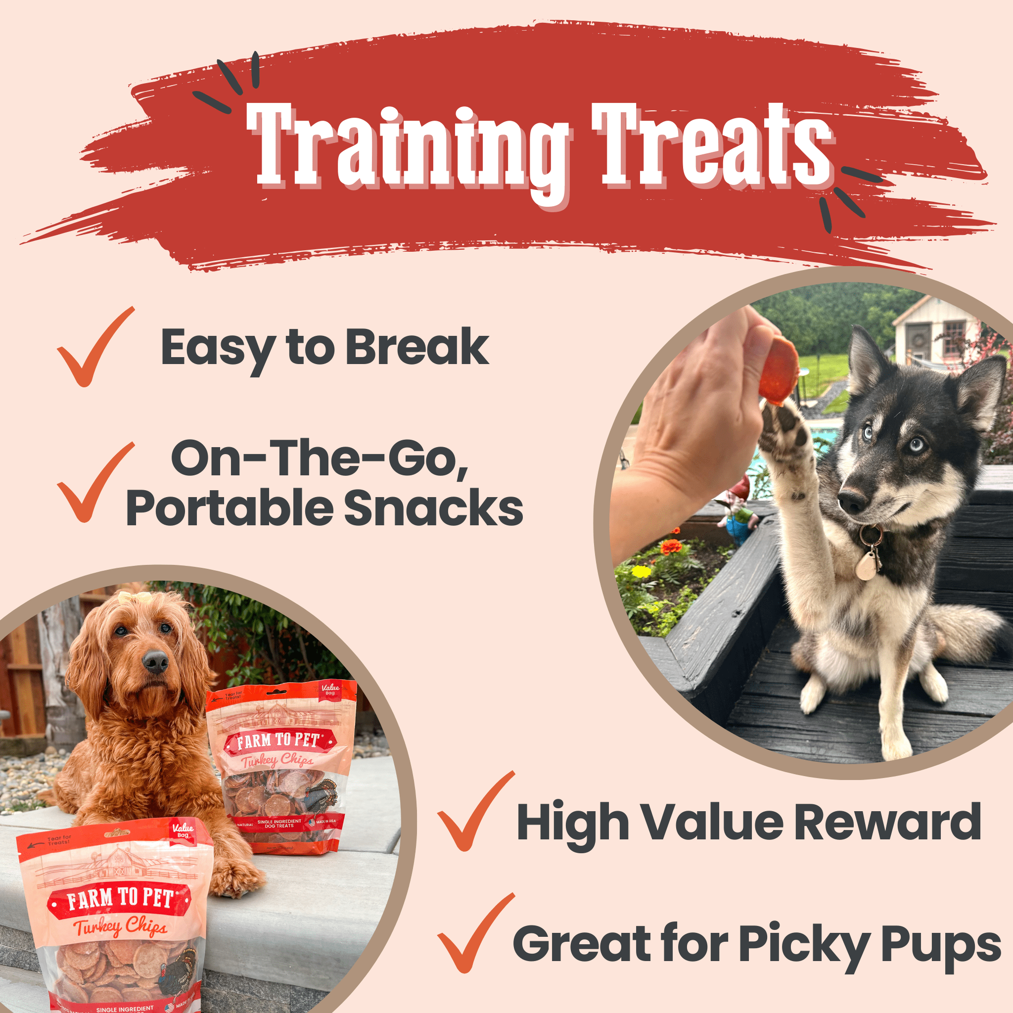 Turkey Chips for Dogs | Single-Ingredient, Hormone-Free Treats