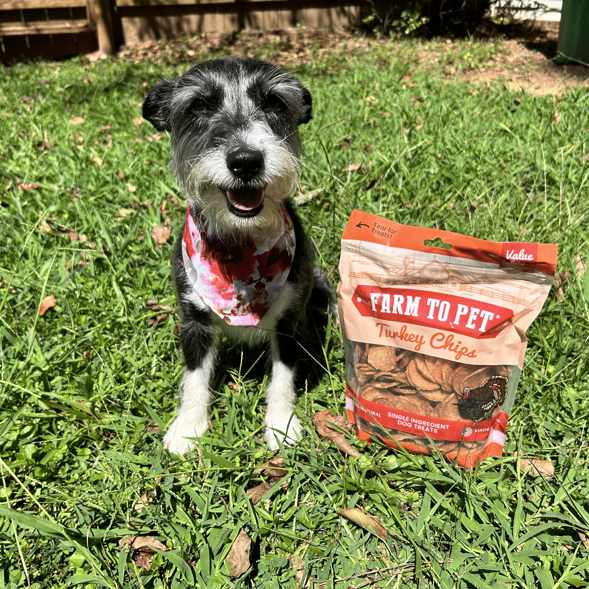 Turkey Chips for Dogs | Single-Ingredient, Hormone-Free Treats