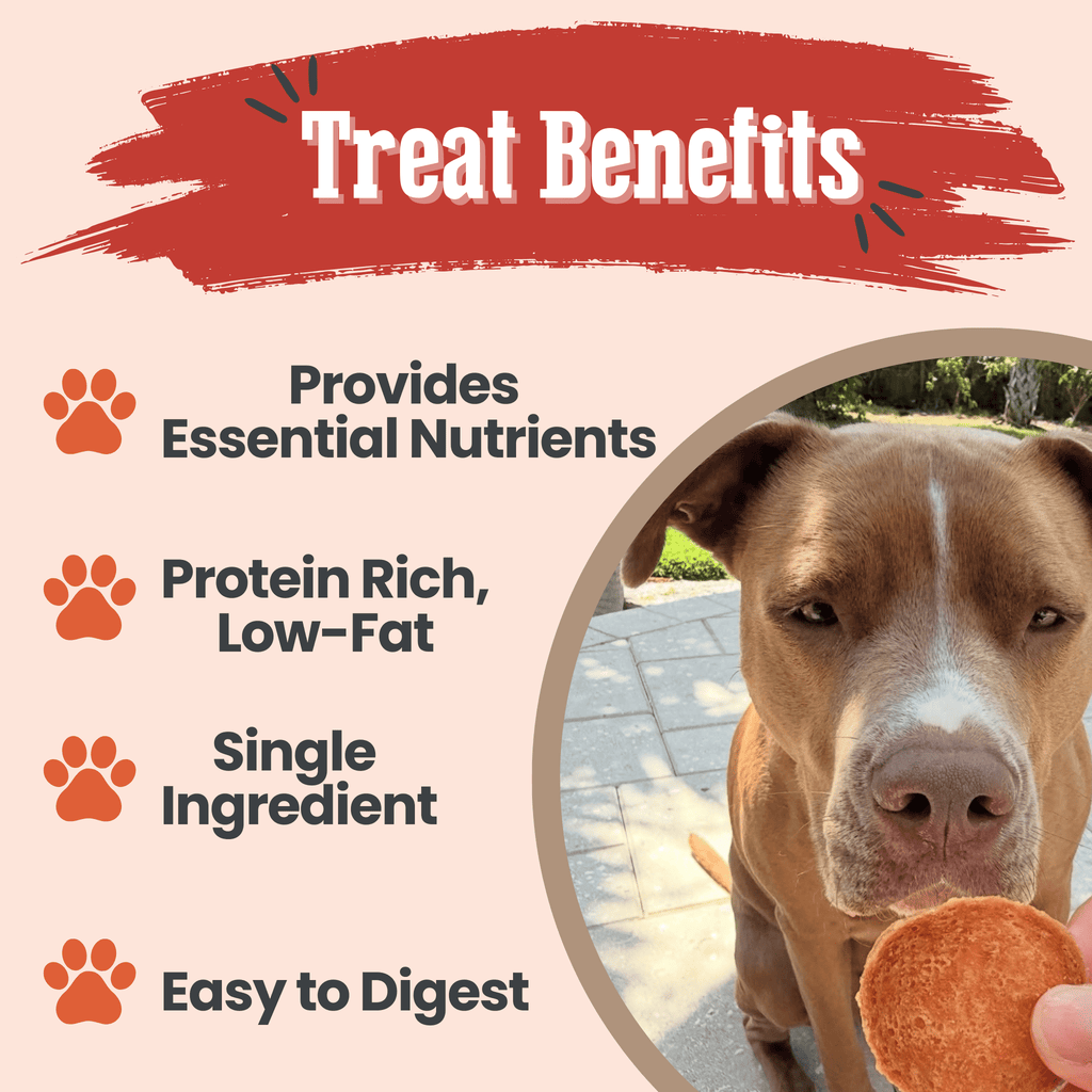 Turkey Chips for Dogs | Single-Ingredient, Hormone-Free Treats