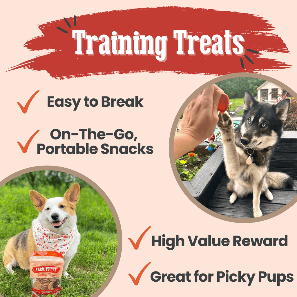 Turkey Chips for Dogs | Single-Ingredient, Hormone-Free Treats