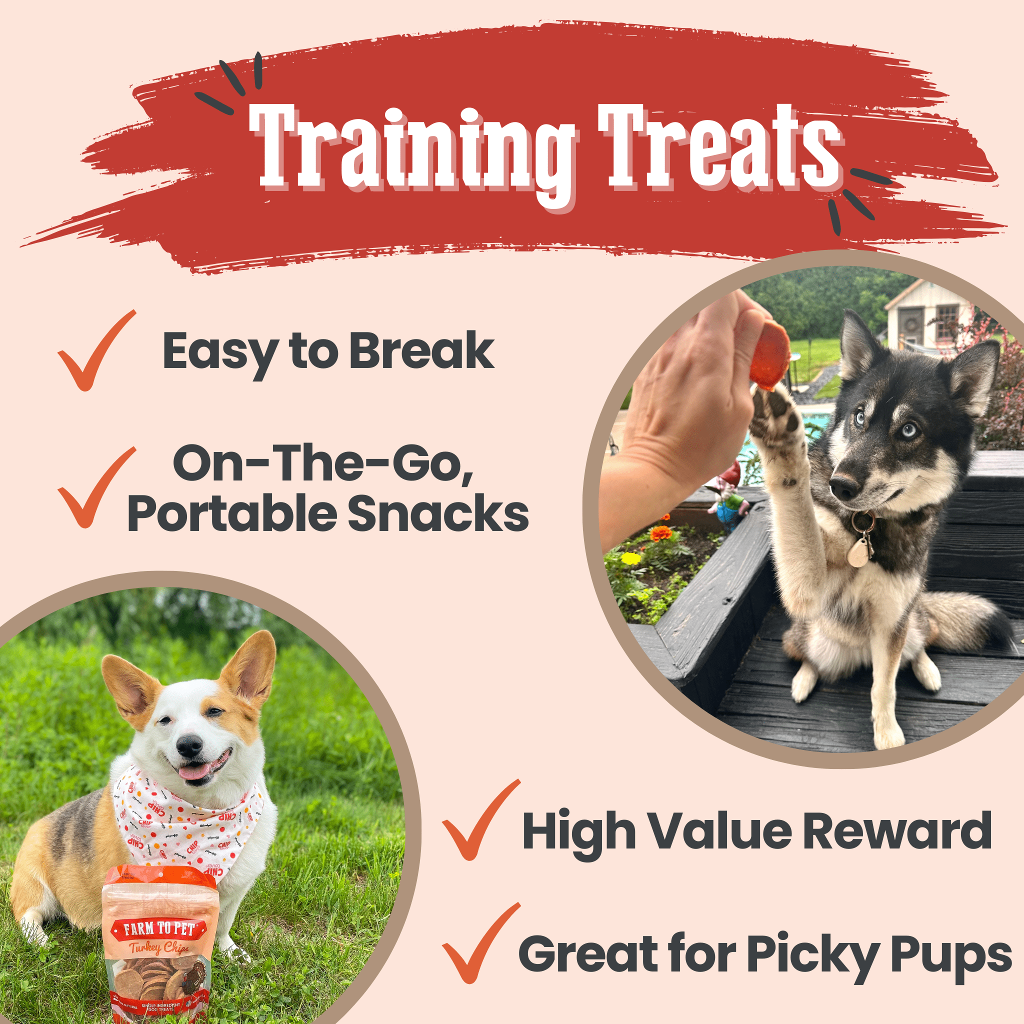 Turkey Chips for Dogs | Single-Ingredient, Hormone-Free Treats