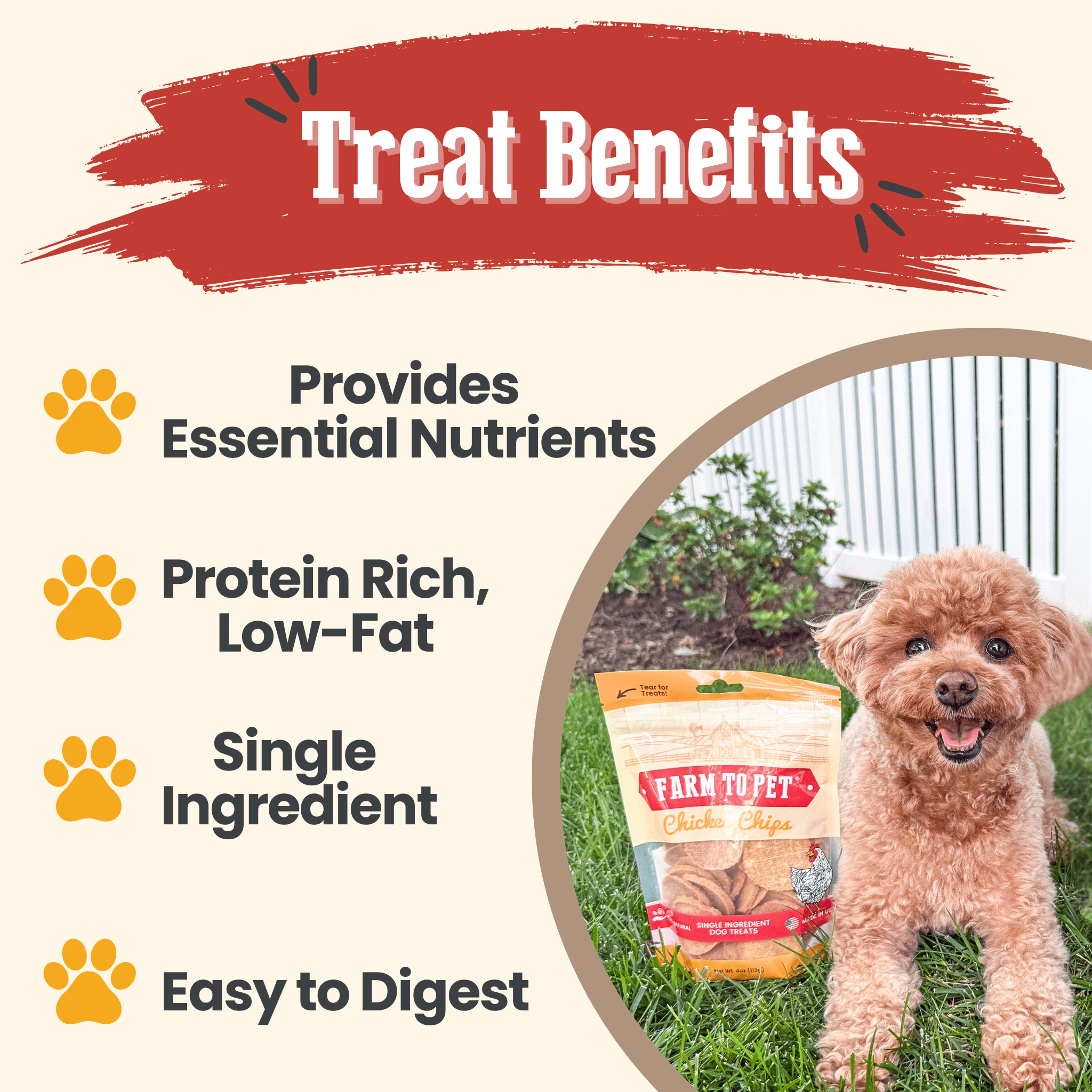 Chicken Chips for Dogs | Single-Ingredient, Made in USA
