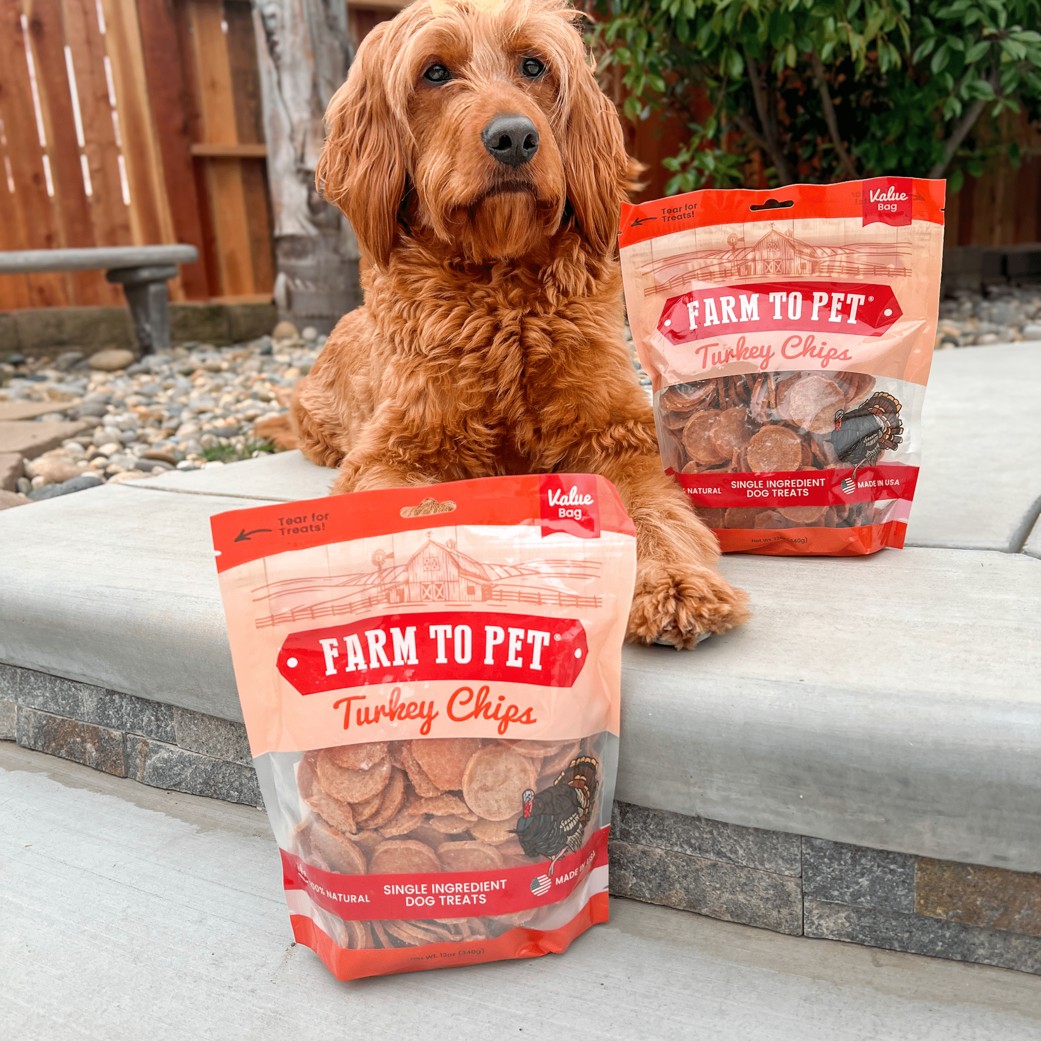 Turkey Chips for Dogs | Single-Ingredient, Hormone-Free Treats