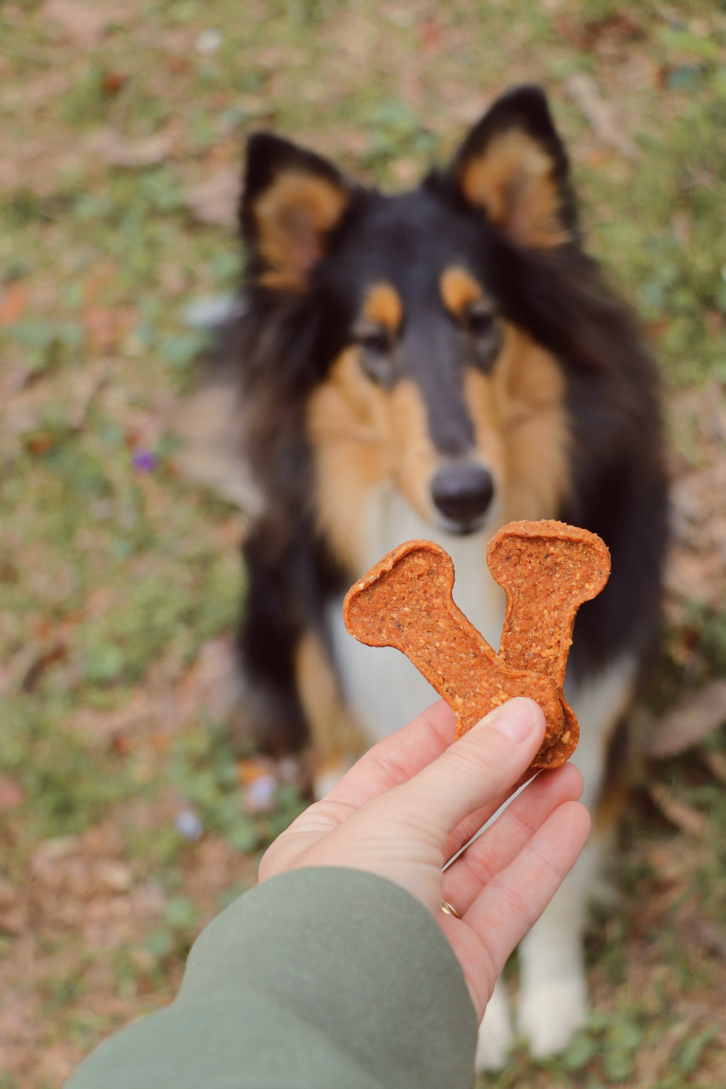 Sweet Potato Bones: Single-Ingredient Dog Chews