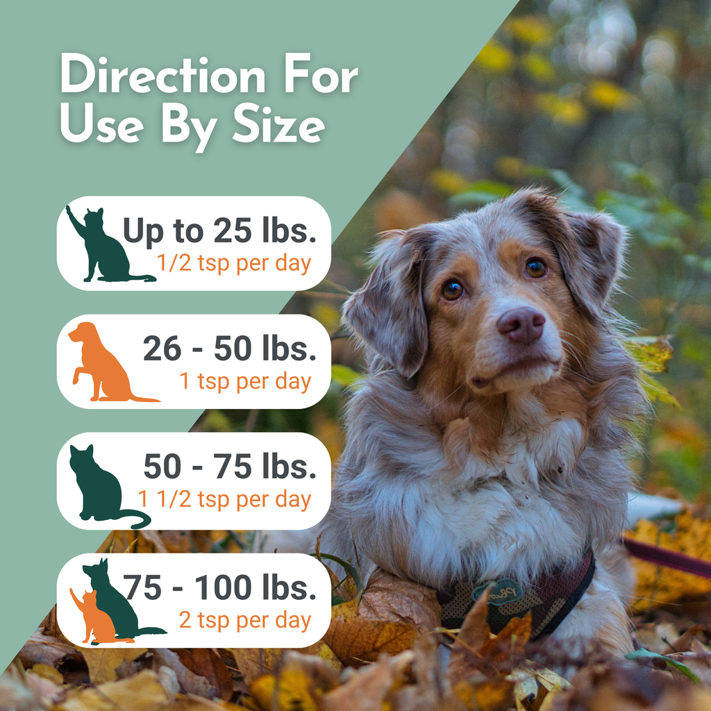 Omega Pawz Liquid Omega-3 Fish Oil for Dogs and Cats