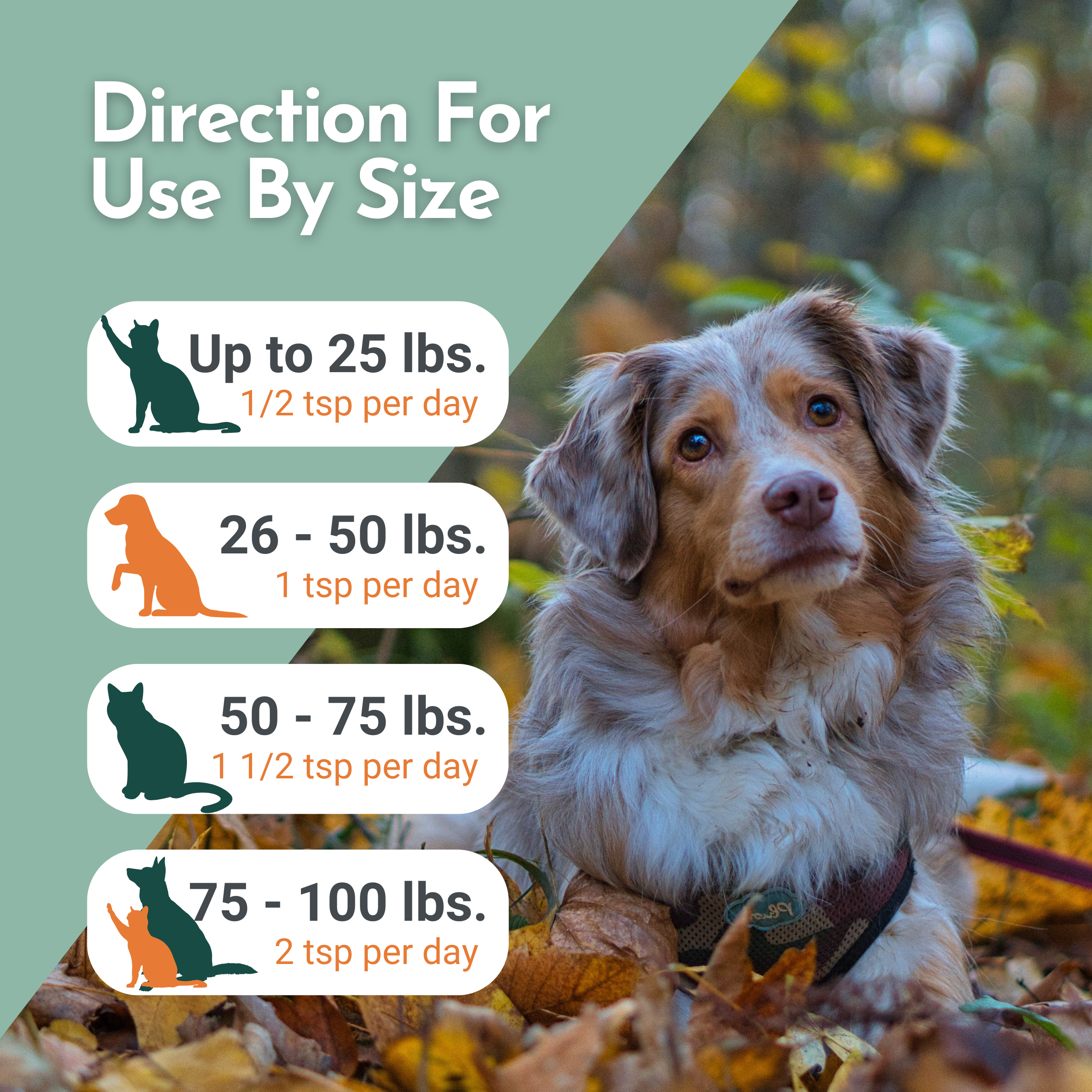 Omega Pawz Liquid Omega-3 Fish Oil for Dogs and Cats