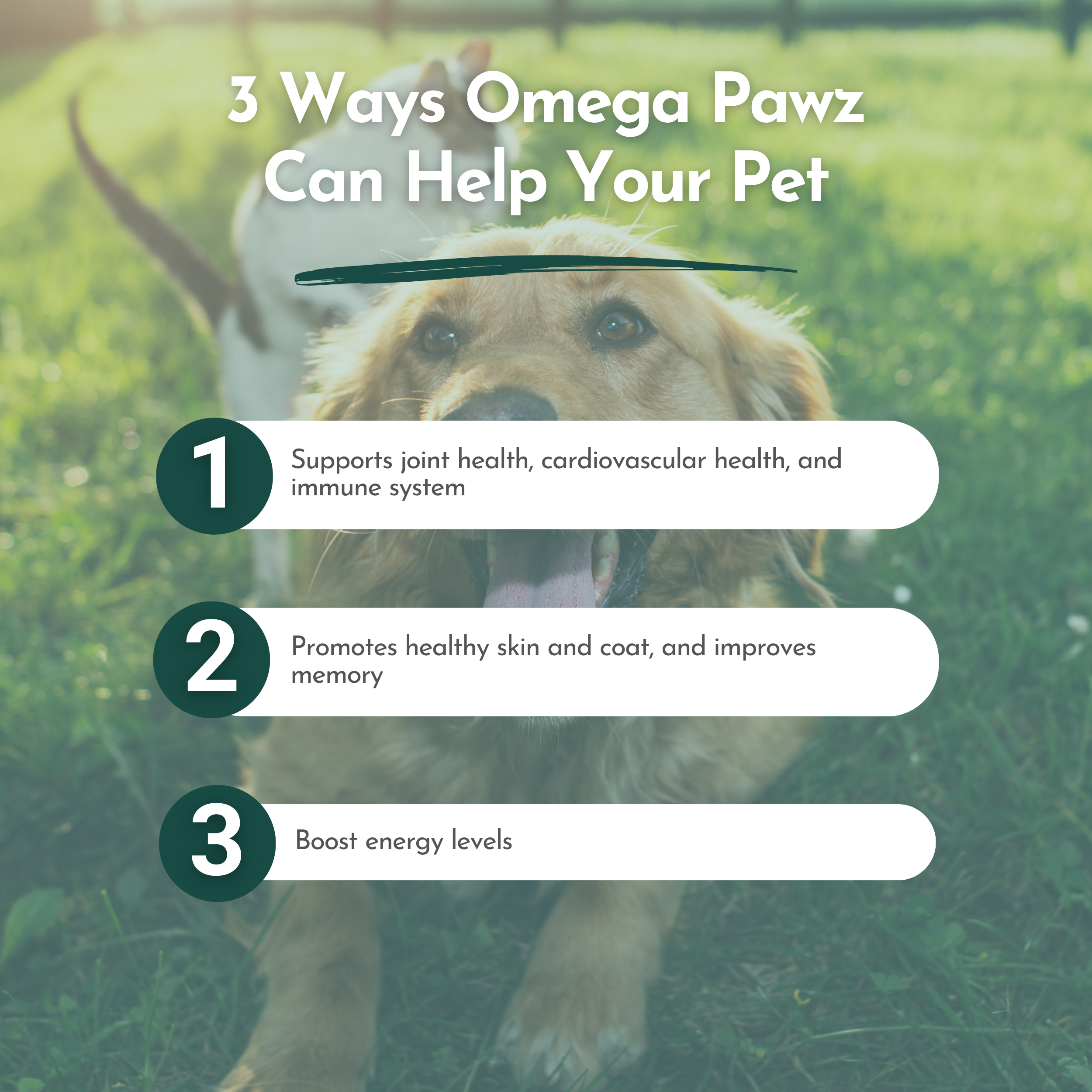 Omega Pawz Liquid Omega-3 Fish Oil for Dogs and Cats