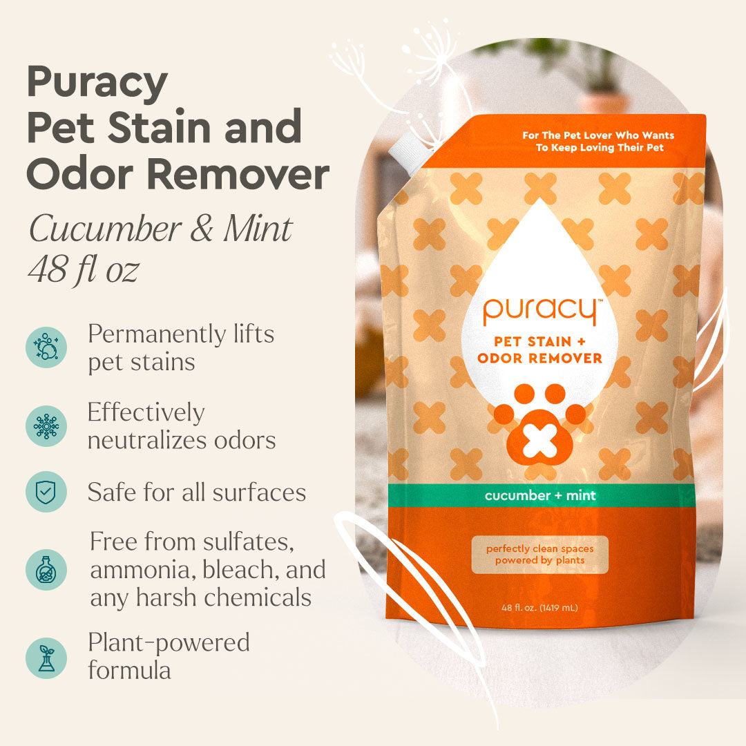 Puracy Pet Stain & Odor Remover