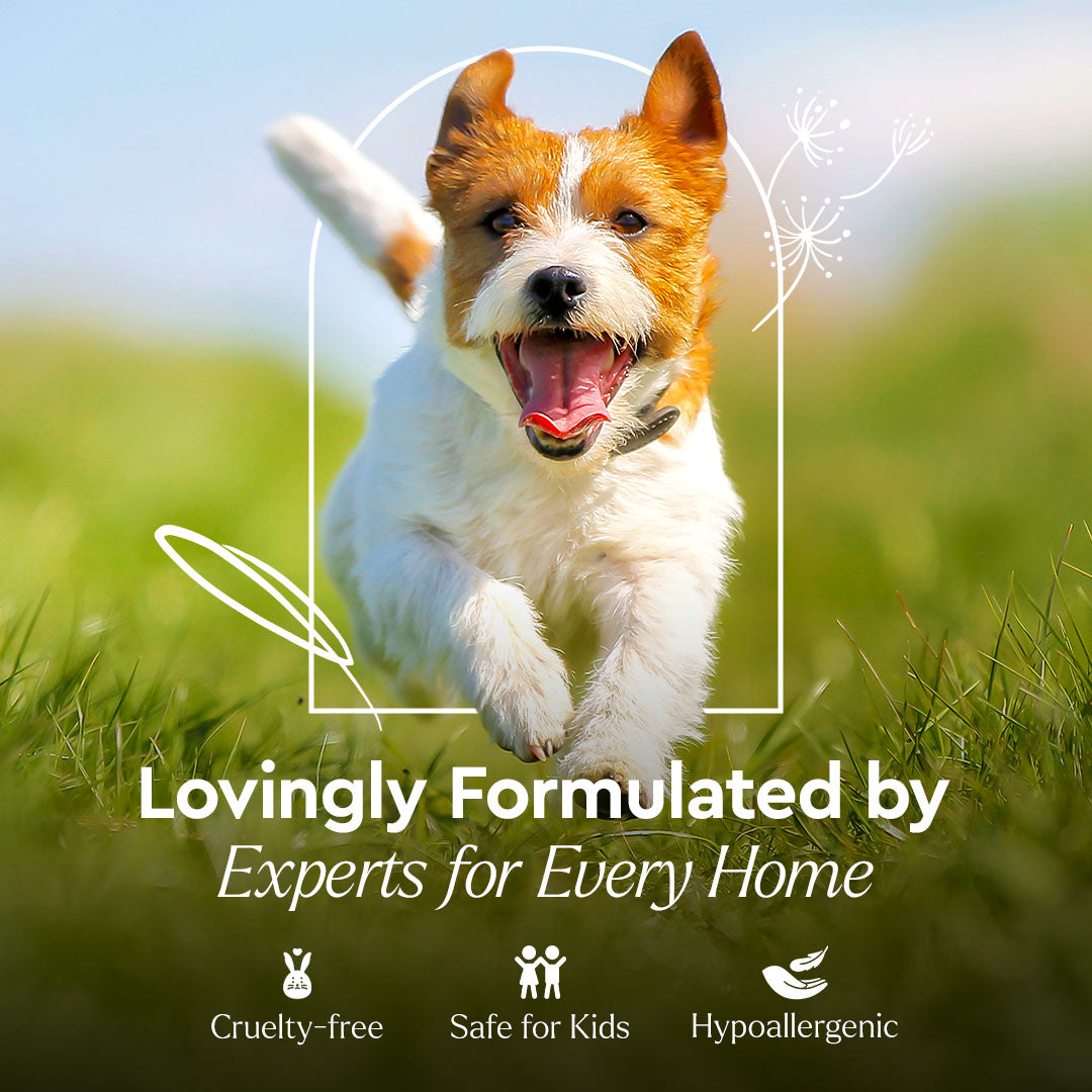 Puracy Pet Stain & Odor Remover