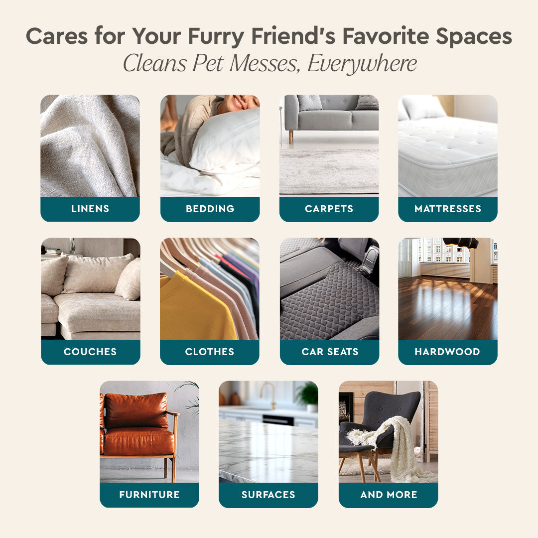 Puracy Pet Stain & Odor Remover