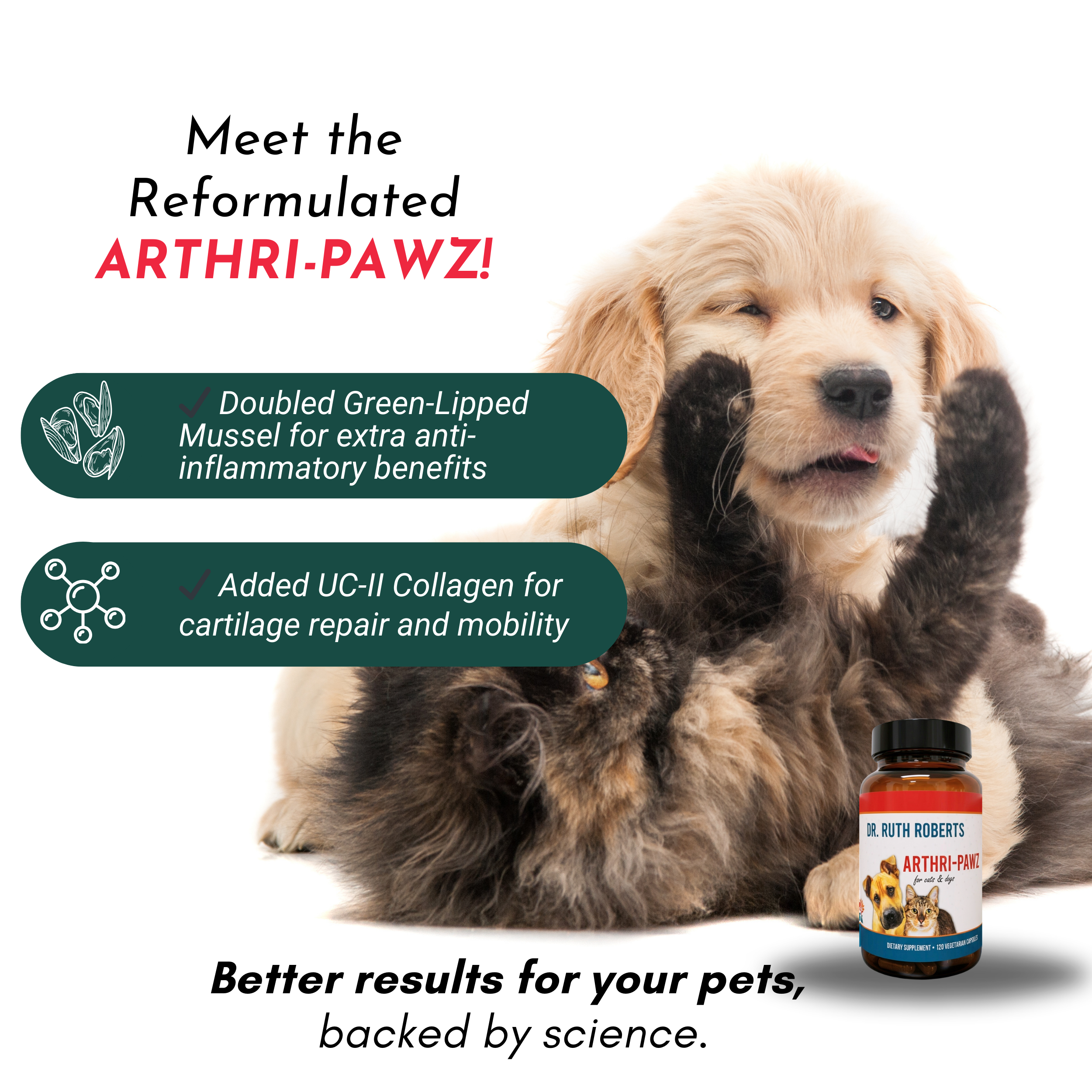 Arthri-Pawz Glucosamine Joint Supplement for Dogs and Cats