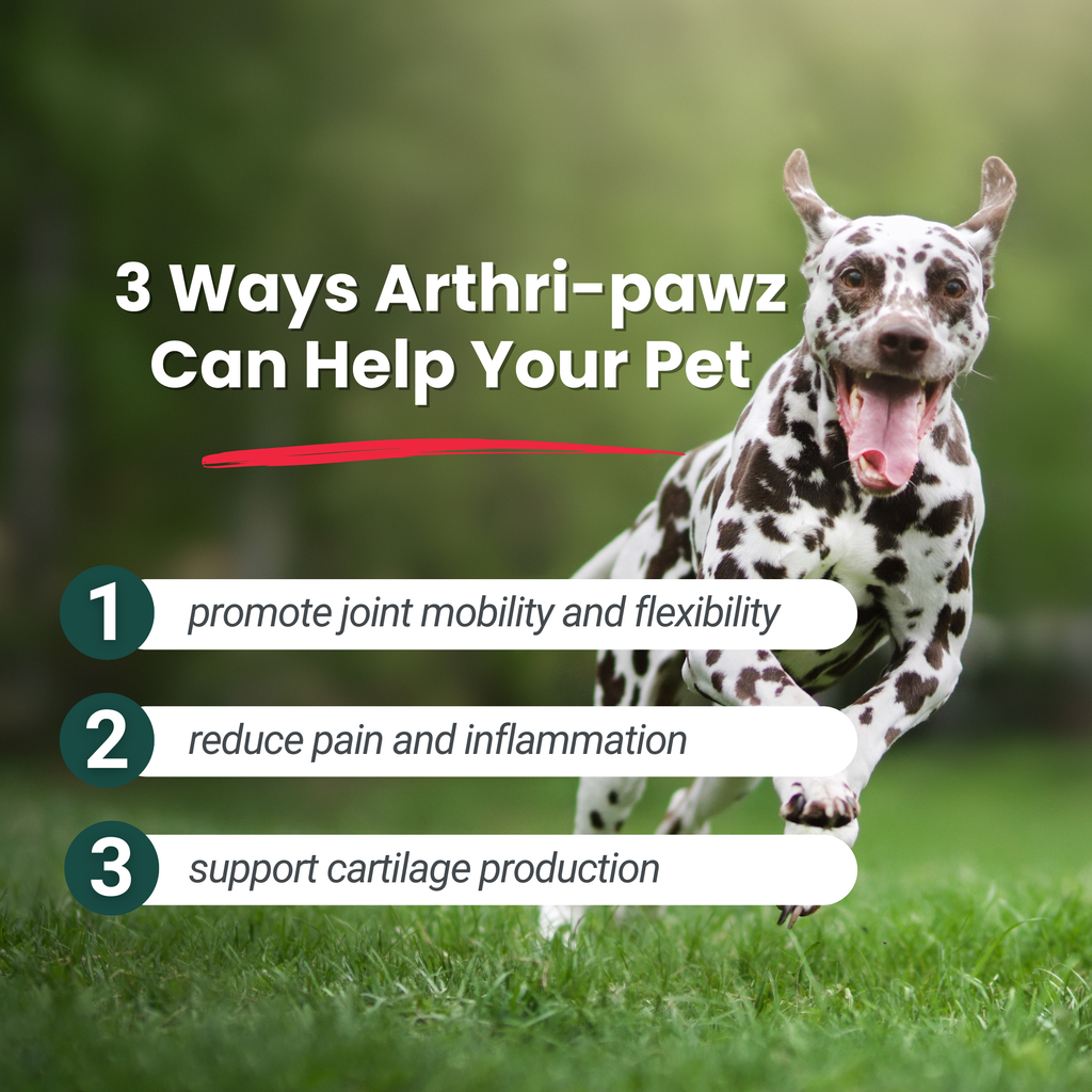 Arthri-Pawz Glucosamine Joint Supplement for Dogs and Cats