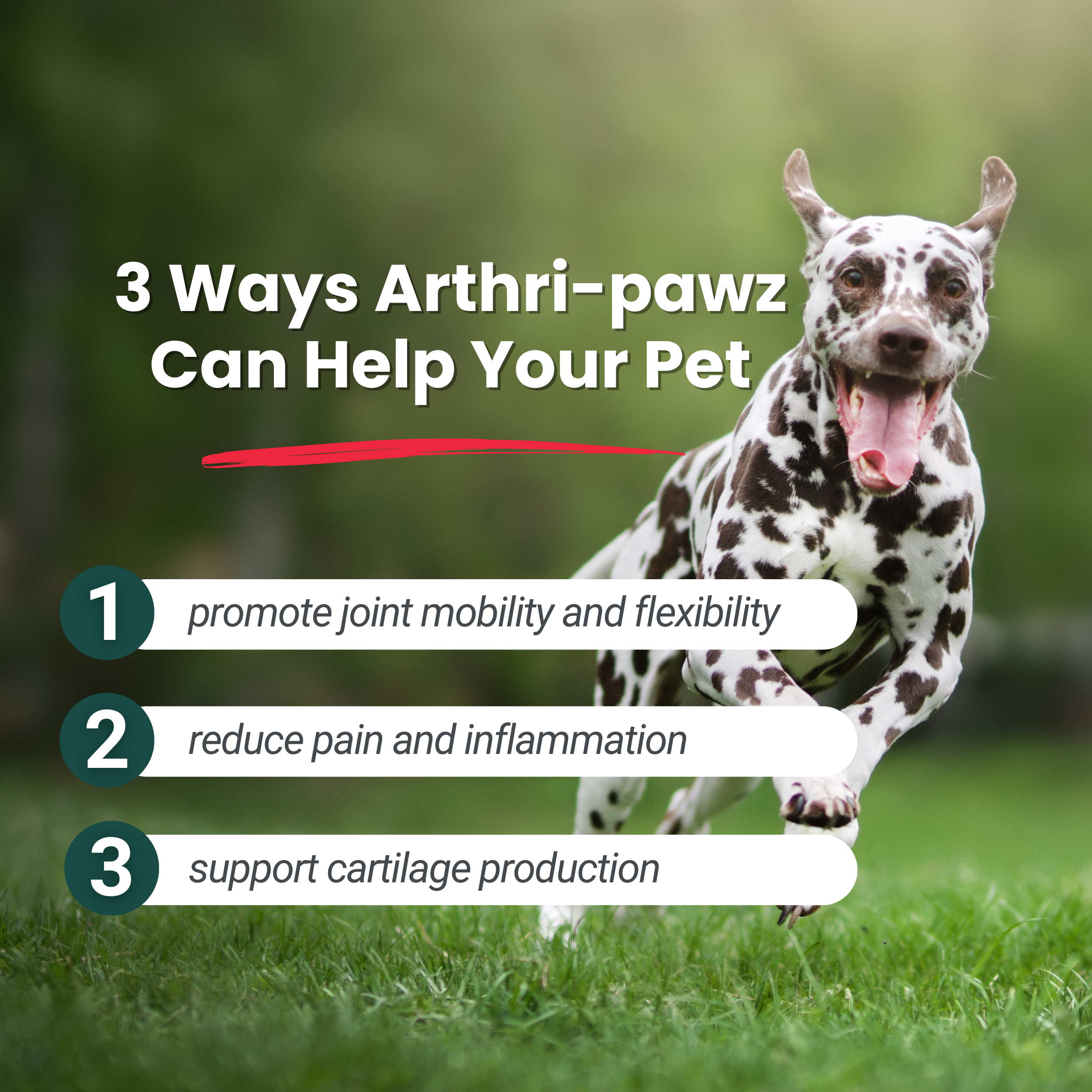 Arthri-Pawz Glucosamine Joint Supplement for Dogs and Cats