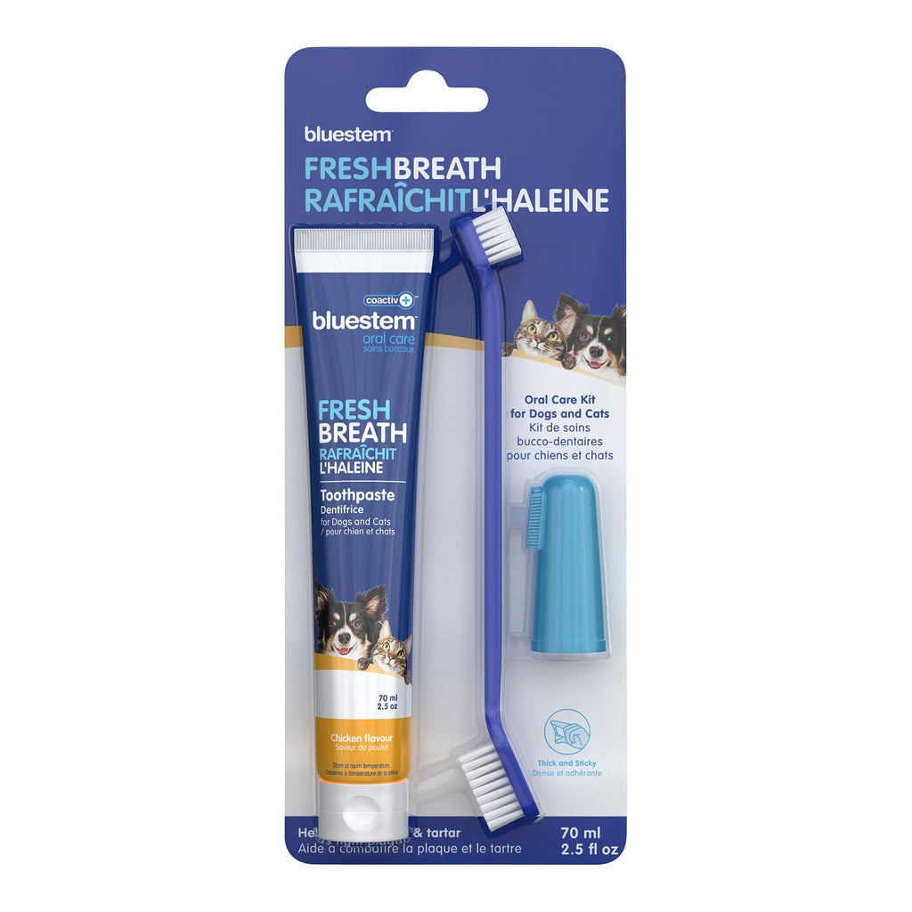 Bluestem complete dental kit for dogs and cats with toothpaste toothbrush and finger brush