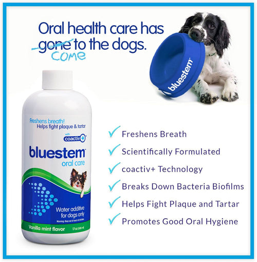 Dog with the Bluestem dog water additive
