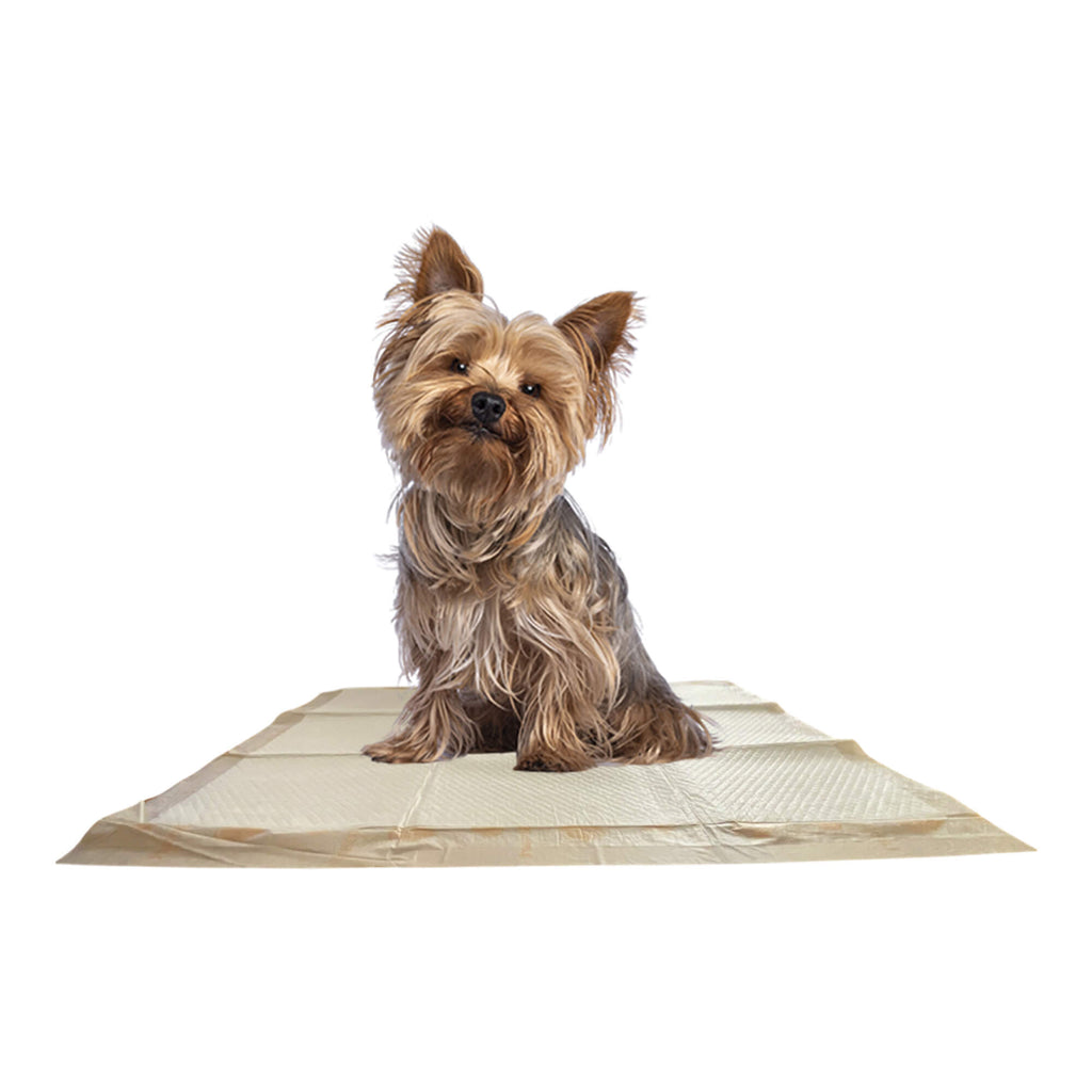 WizSmart Large Dog Training Pads