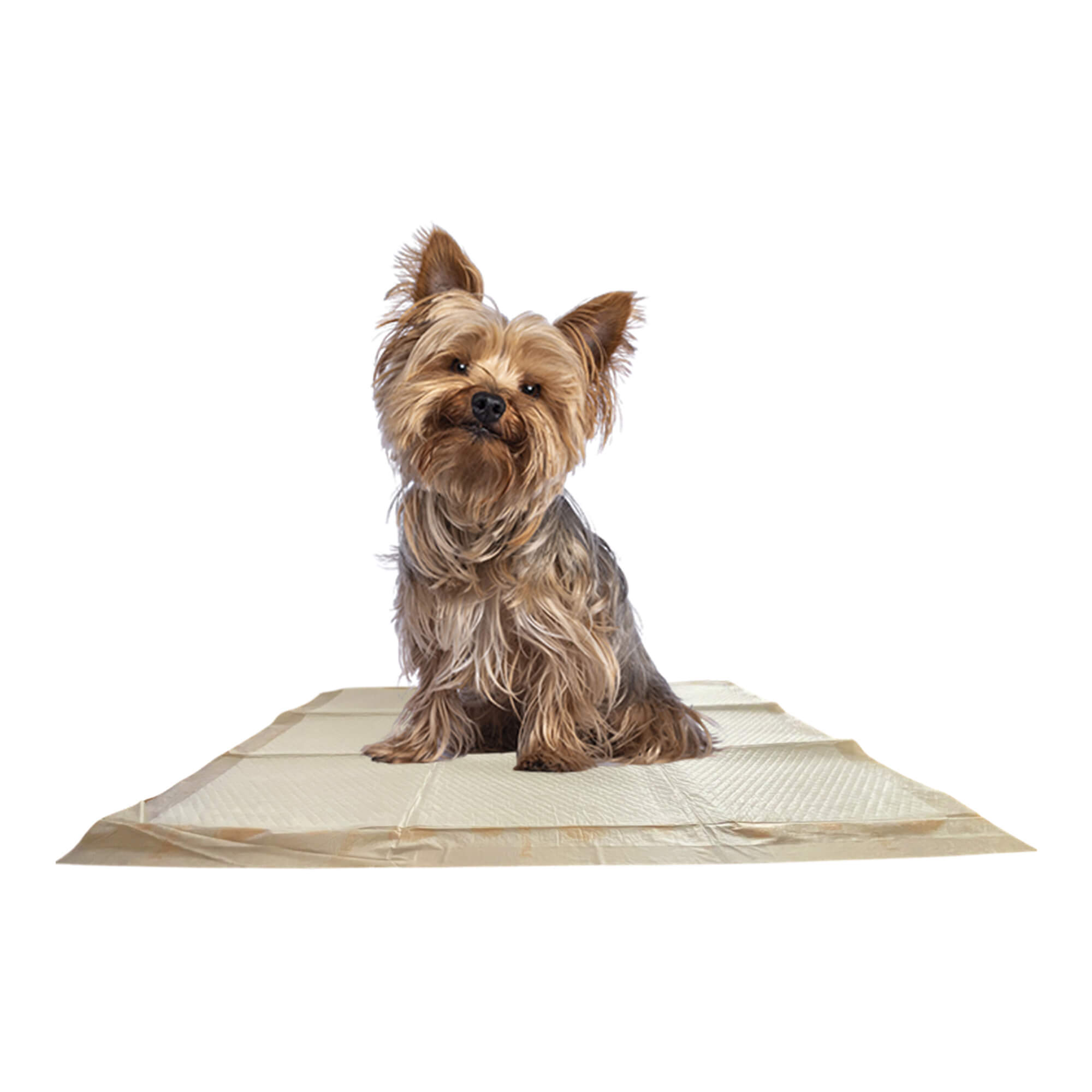 WizSmart Large Dog Training Pads